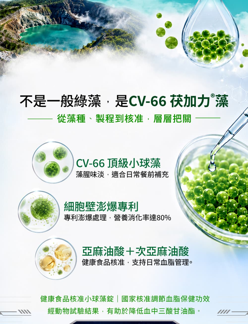 遠東極品CV-66茯加力®藻錠(小球藻) 900錠/瓶 介紹圖 3